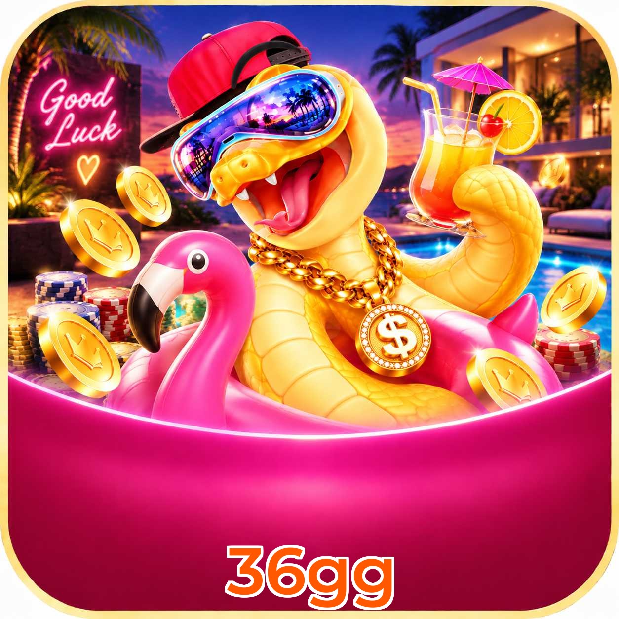 36gg Interface